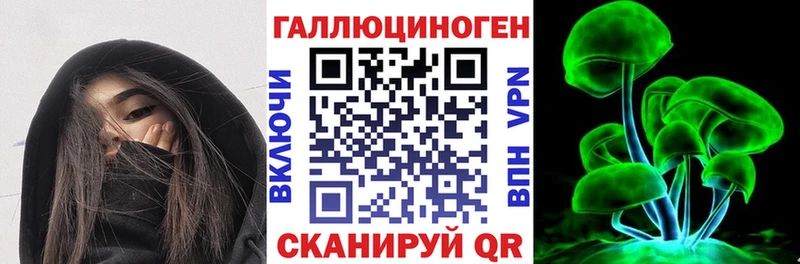 Галлюциногенные грибы Psilocybine cubensis  Светлогорск 